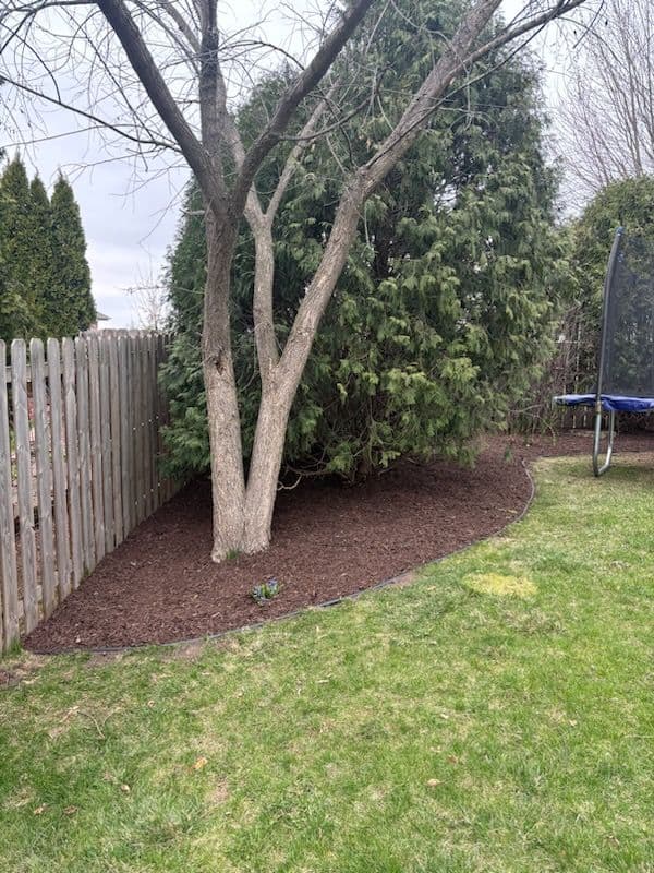 Backyard Landscape Refresh in Sun Prairie